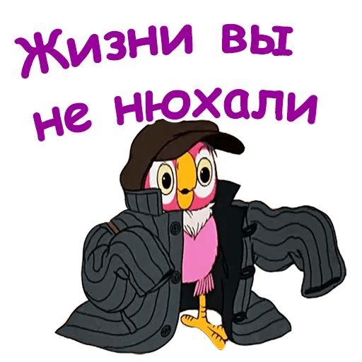 Попугай Кеша - мемы