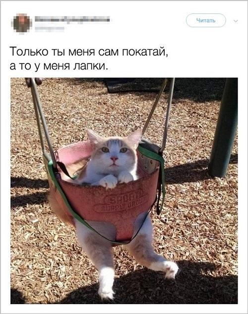 Смешные свежие мемы