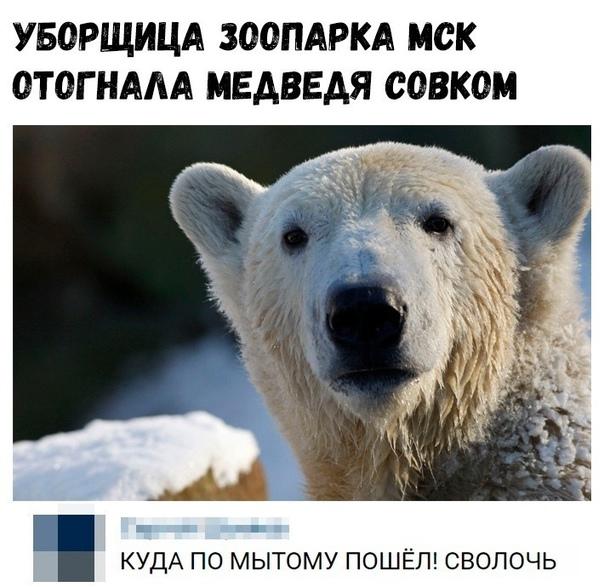 Смешные свежие мемы