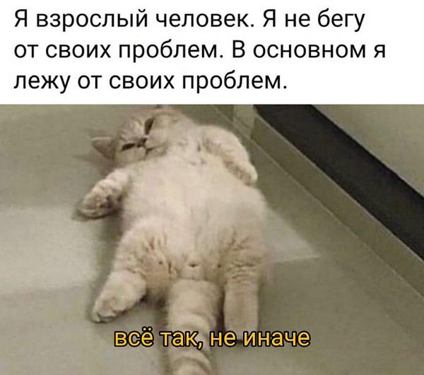 Смешные свежие мемы