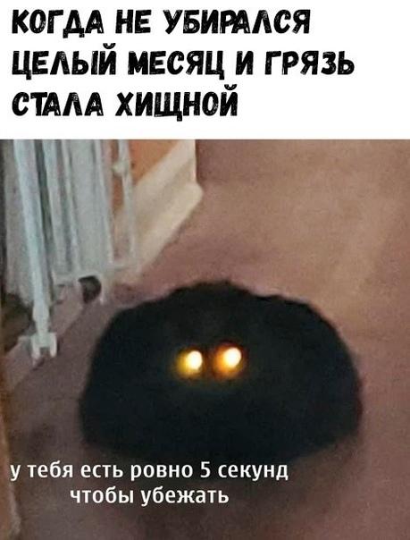 Смешные свежие мемы