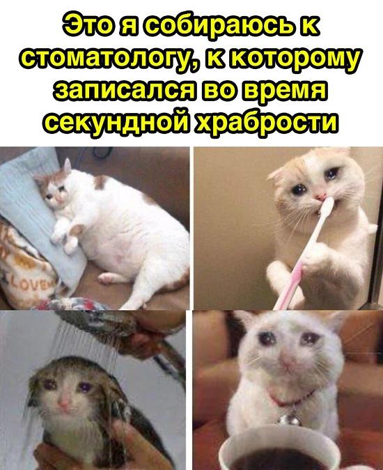 Смешные свежие мемы