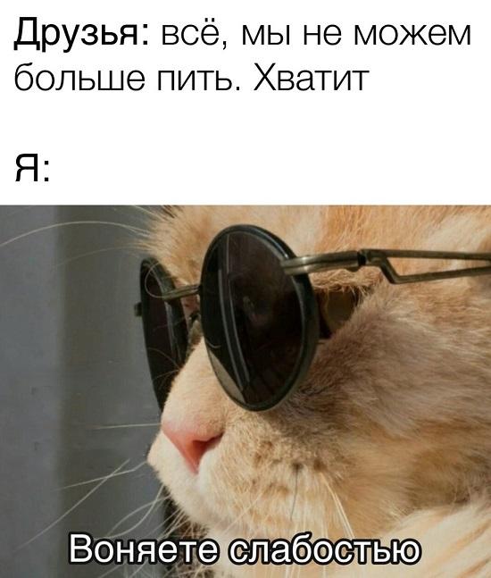 Смешные свежие мемы