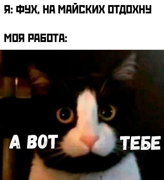 Смешные свежие мемы