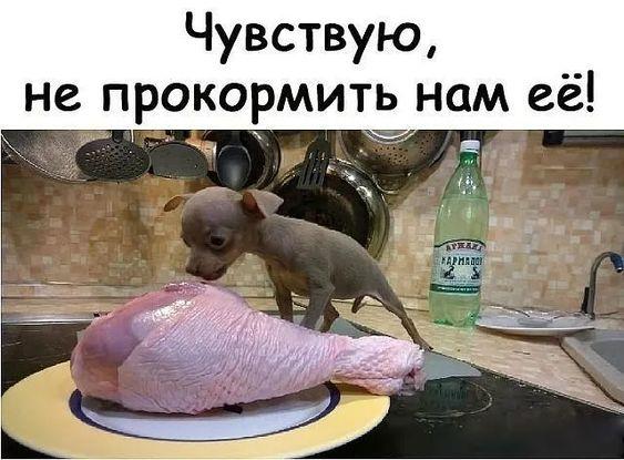 Картинки с надписями