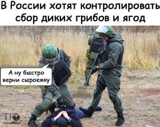 Картинки с надписями