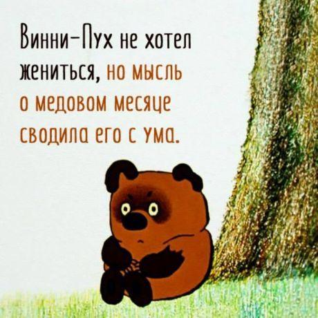 Мемы с Винни Пухом