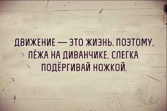 Подробнее о статье Самые смешные шутки на картинках