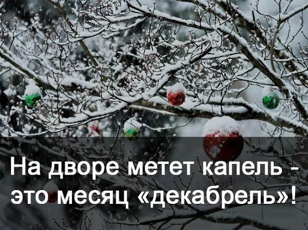 Подробнее о статье Относительно добрые шутки