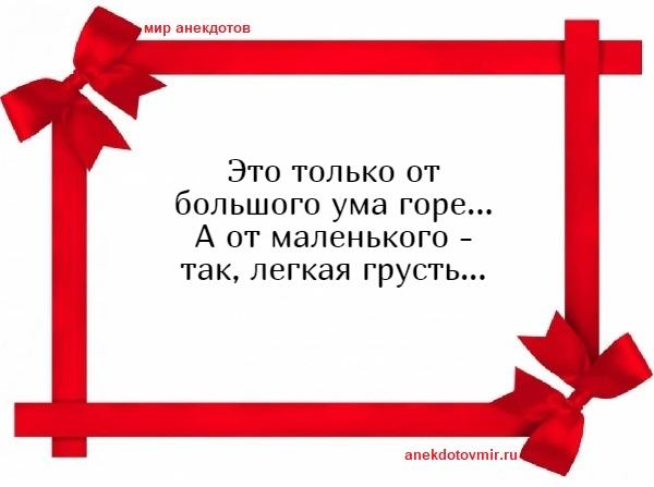 Подробнее о статье Смешные свежие шутки 27.04.2021