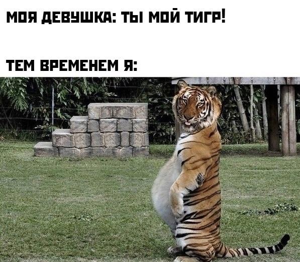 Смешные свежие мемы