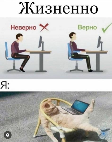 Смешные свежие мемы