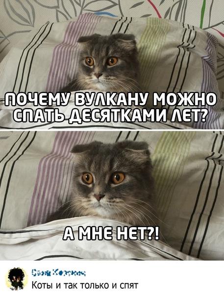 Смешные свежие мемы