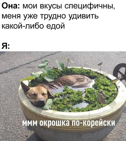 Смешные свежие мемы