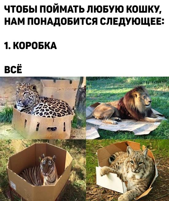 Смешные свежие мемы