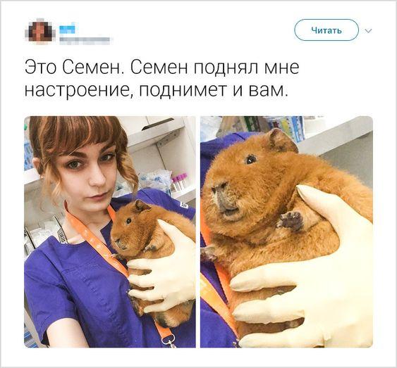 Картинки с надписями