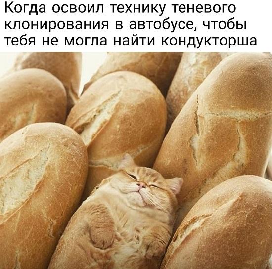 Смешные свежие мемы