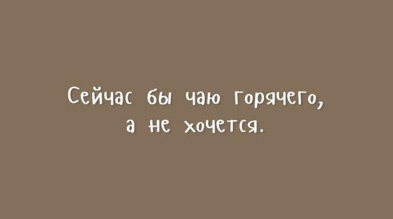 Подробнее о статье Очень смешные до слез шутки