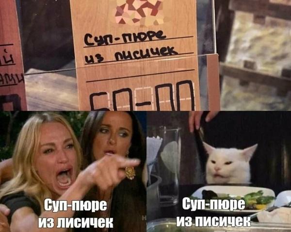 Мемы девушек с котом