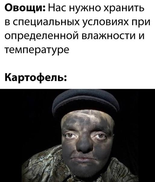 Смешные свежие мемы