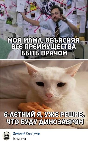 Смешные свежие мемы