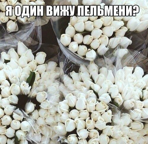 Смешные свежие мемы