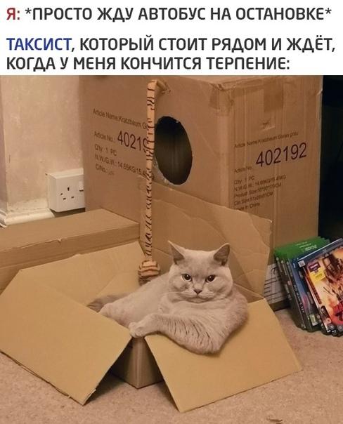 Смешные свежие мемы