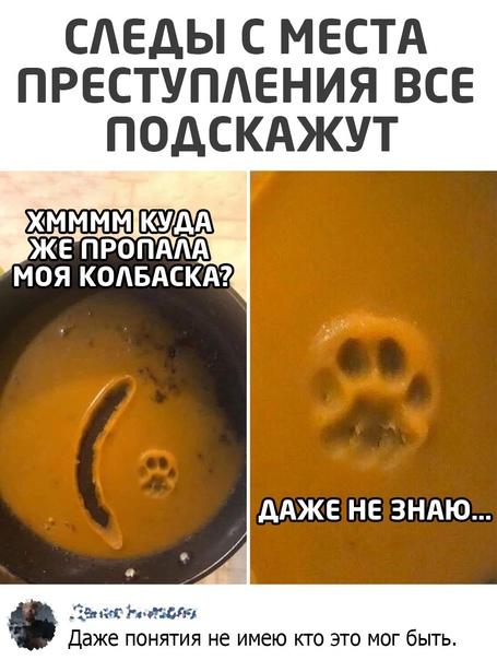 Смешные свежие мемы