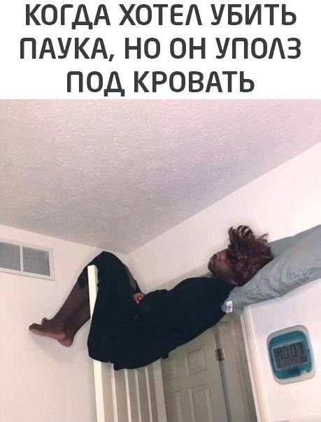 Смешные свежие мемы