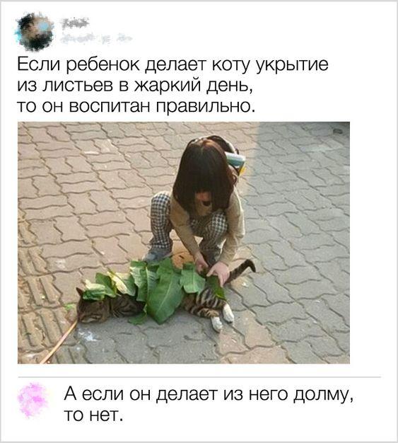 Картинки с надписями