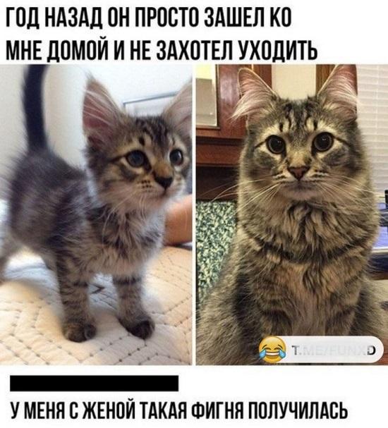 Мемы про отношения