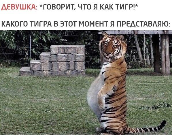 Смешные свежие мемы