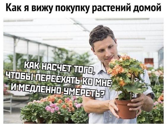 Картинки с надписями