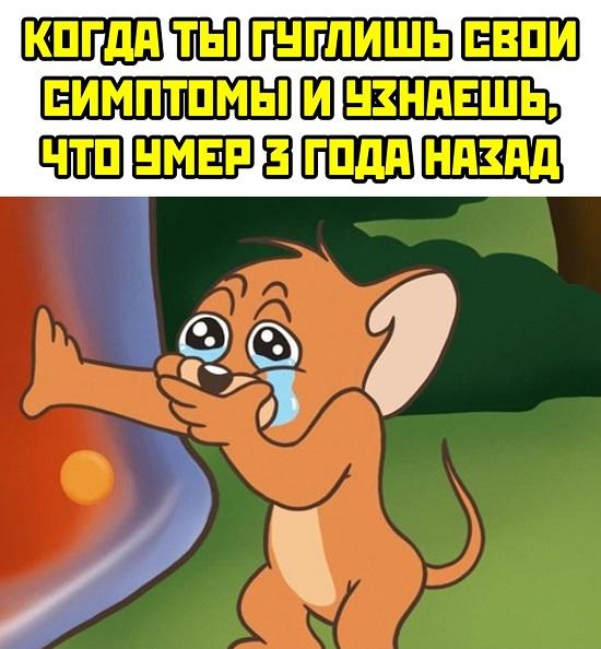 Смешные свежие мемы