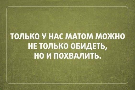 Подробнее о статье Прикольные до слез шутки на картинках