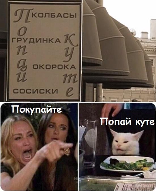 Мемы девушек с котом