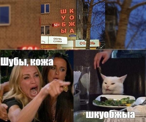 Мемы девушек с котом