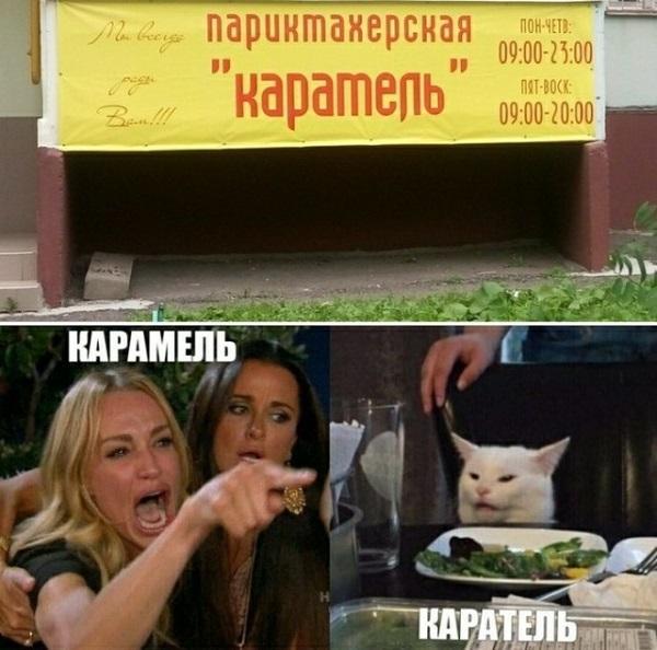 Мемы девушек с котом