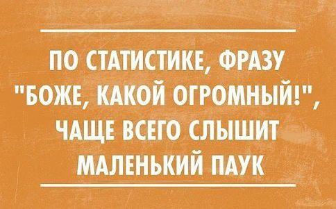 Подробнее о статье Читать прикольные и самые смешные шутки