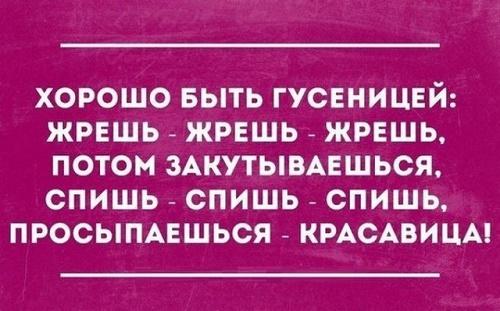 Подробнее о статье Прикольные шутки на разные темы