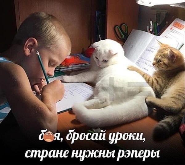 Смешные свежие мемы