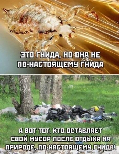 Смешные свежие мемы