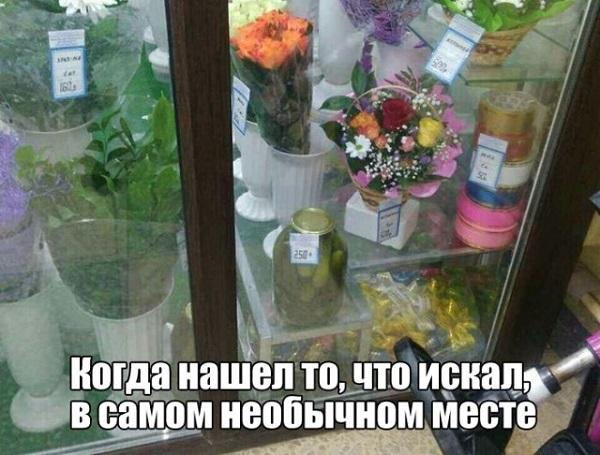 Смешные свежие мемы