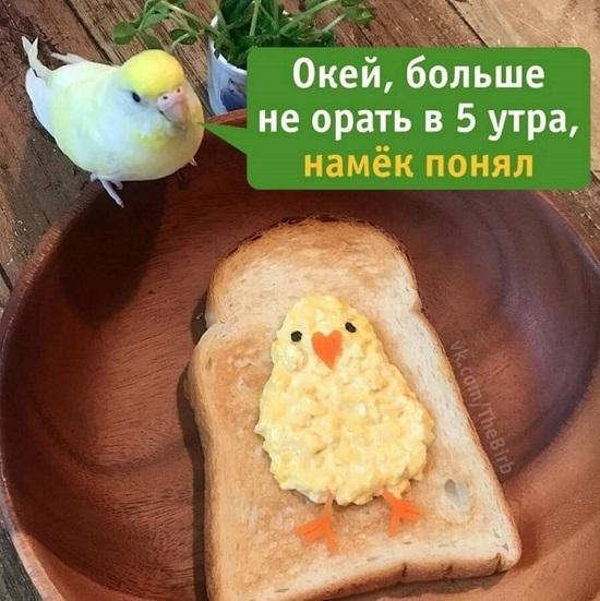 Картинки с надписями