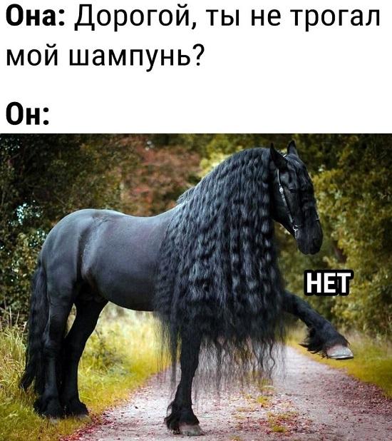 Смешные свежие мемы