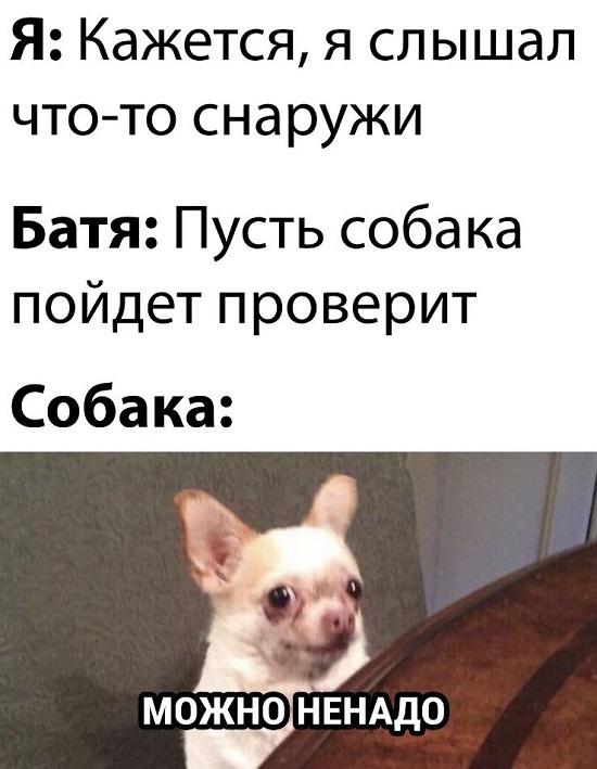 Смешные свежие мемы