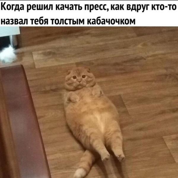 Очень смешные мемы