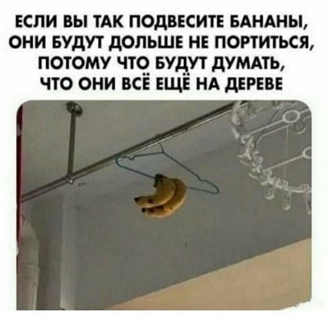 Прикольные мемы