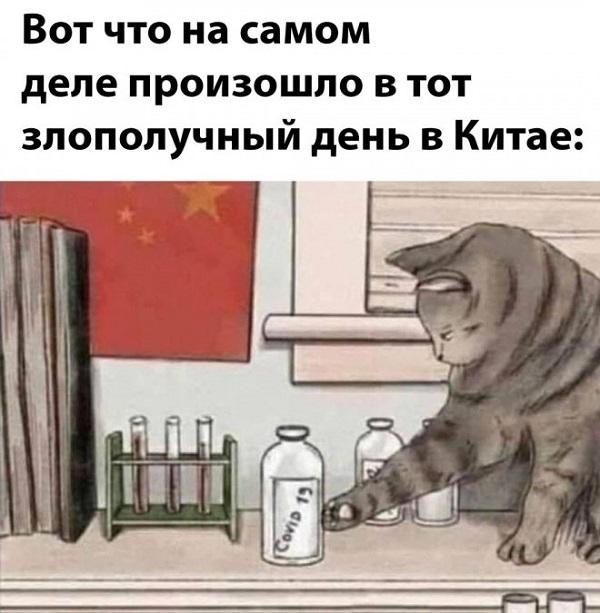 Смешные свежие мемы