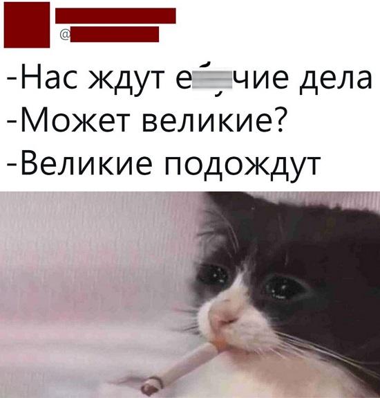 Картинки с надписями